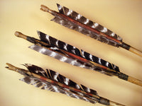 barred turkey feather fletching on traditional arrow replica
