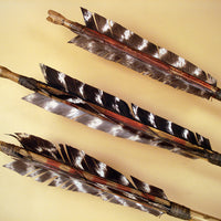 barred turkey feather fletching on traditional arrow replica