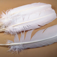 large white turkey wing feathers for scout arrow traditional fletching