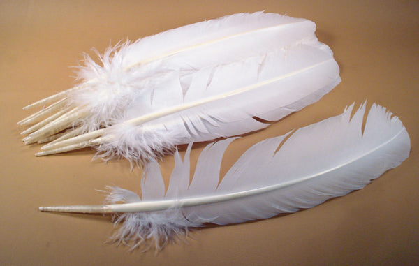 large white turkey wing feathers for scout arrow traditional fletching