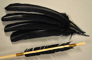 Feathers for fletching in award arrow kit