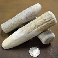 beam section antler knife handle stock