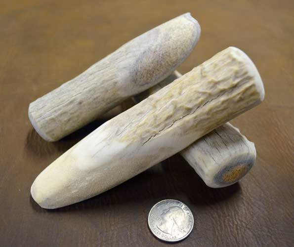 beam section antler knife handle stock