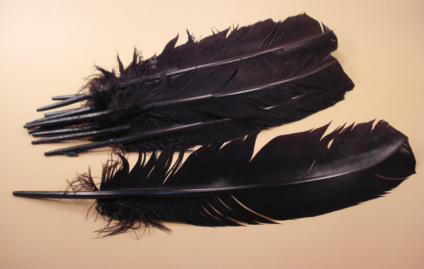 large black turkey wing feathers for traditional scout arrow fletching