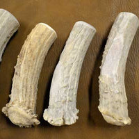 various size and shapes of crown antler handle blank