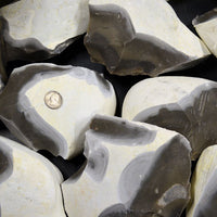 Georgetown Texas flint stone nodules