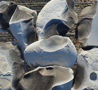 Georgetown flint stone nodules for flint knapping
