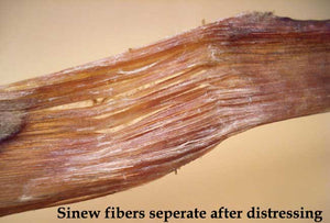 Sinew from red deer legs, a 100 % natural material.