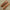 solid copper rods for flintknapping spalling supplies and tools
