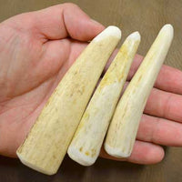 three pack of deer antler punches