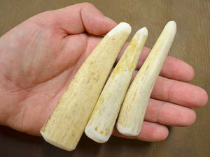 three pack of deer antler punches